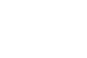 deckers brands Market Research - Vital Findings