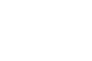 fitbit Market Research - Vital Findings