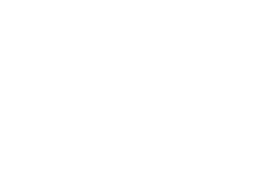 Mattel Market Research - Vital Findings
