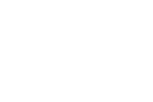 Wonderful Company - Vital Findings - Market Research