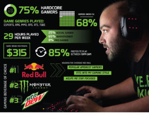 Market Research Infographic - Hardcore Gamers